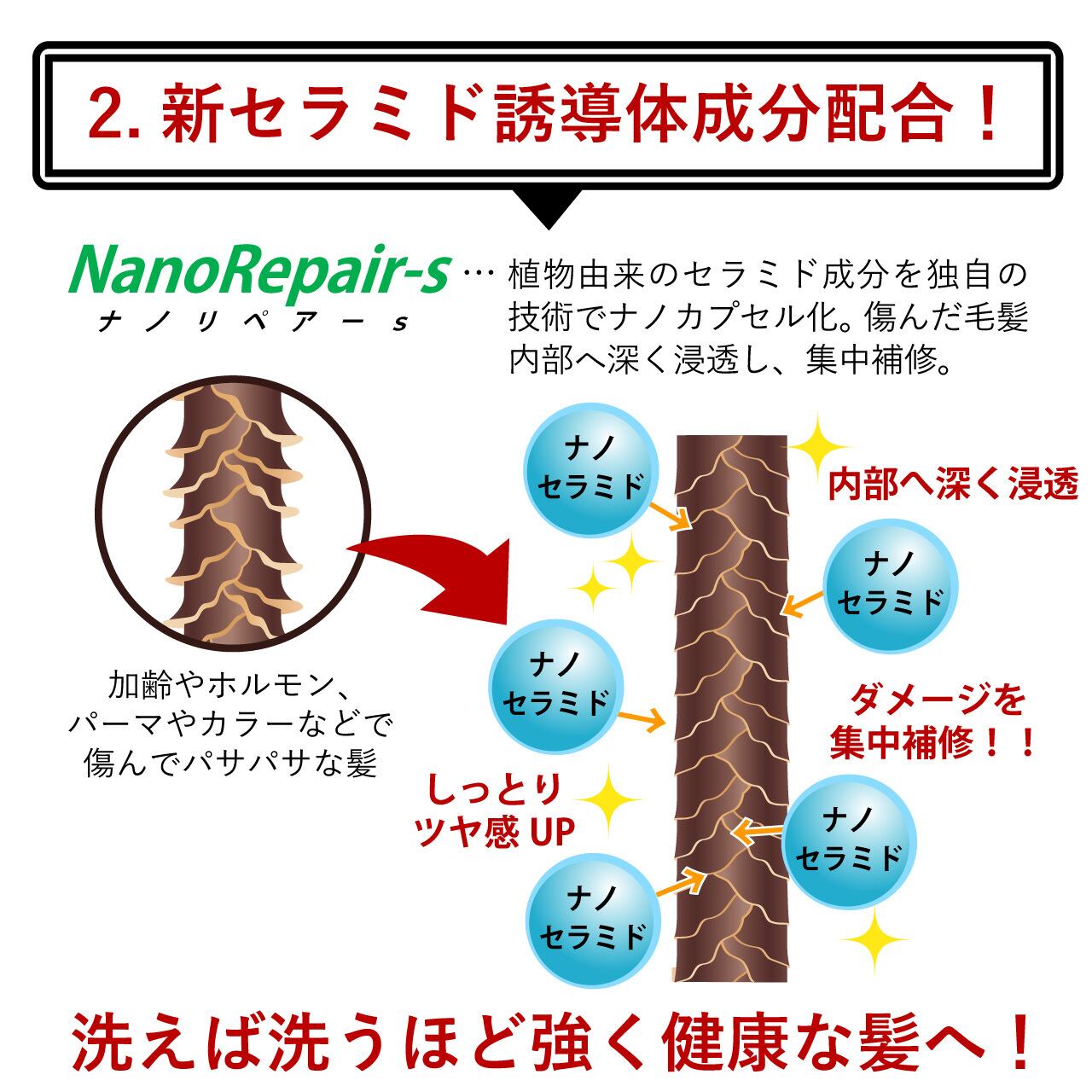 定期購入 2ヶ月ごとに2本お届け! 】Ar+ シャンプー 定期購入 2ヶ月ごとに2本お届け! 】Ar+ シャンプー