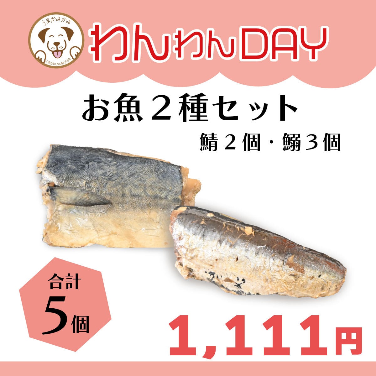 【わんわんDAY】お魚2種セット(さば2個・いわし3個)
