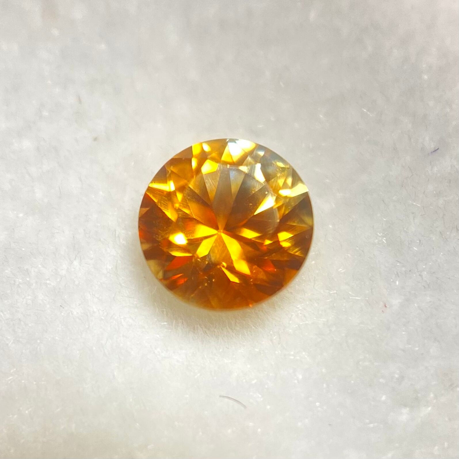 タンポポ モンタナサファイア