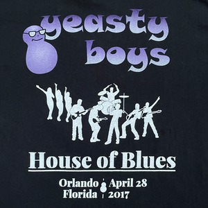 【HANES】YEASTY BOYS イースティボーイズ ワンポイントロゴ プリント バンドTシャツ バンT ロックT バックプリント L 半袖 US古着