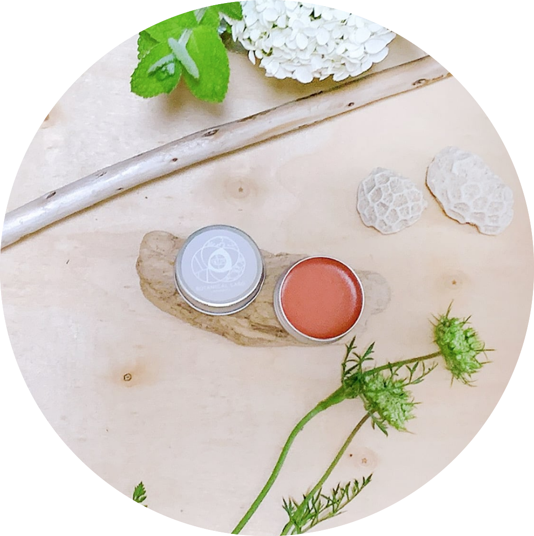 7th harb ミツロウバームM（12g）