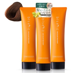 【在庫のみ】biseno ヘアカラートリートメント ダークブラウン 150g×3 (約3か月分) ジアミンフリー レディース メンズ フローラルの香り 植物由来