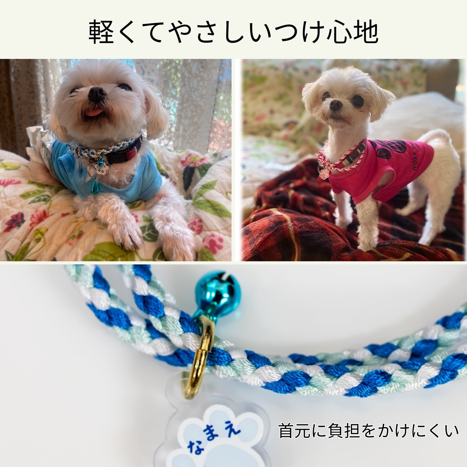 ペット御守り 編み紐首輪タイプ 肉球ネームプレート付き｜犬 猫 交通