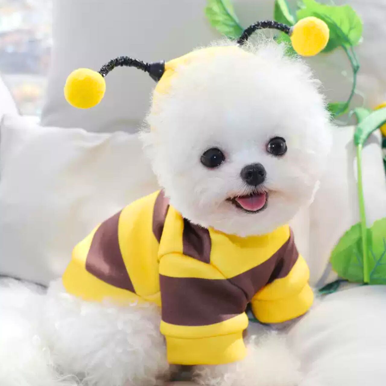 着ぐるみハニー♡0123