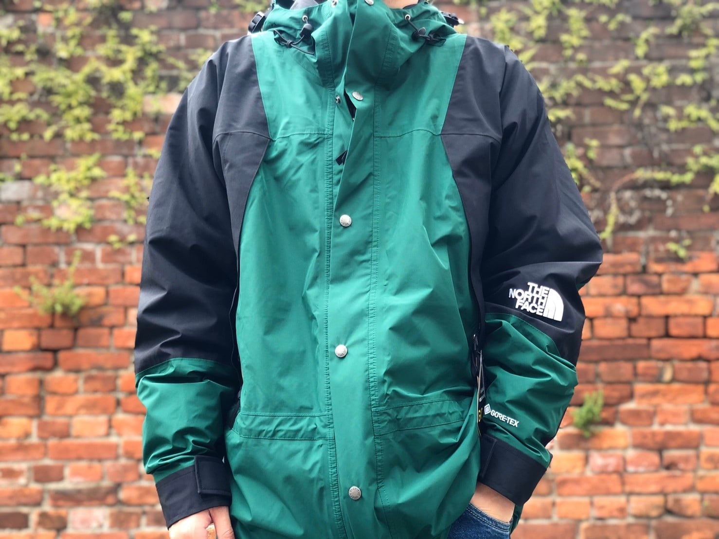 THE NORTH FACE 1994Mountain Light Jacket