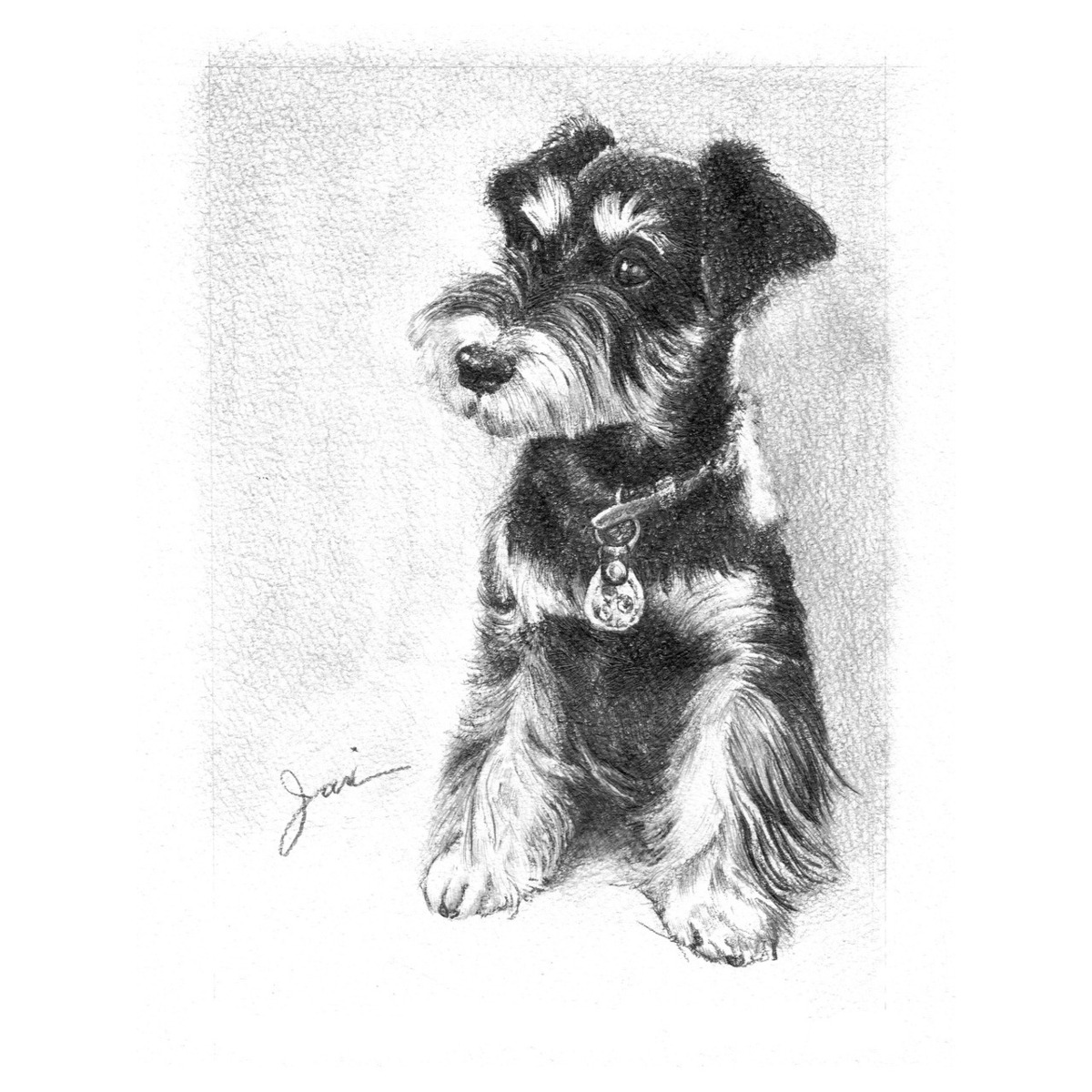 鉛筆画（モノクロ）P001- 犬の肖像画 | O-DEN Art Studio