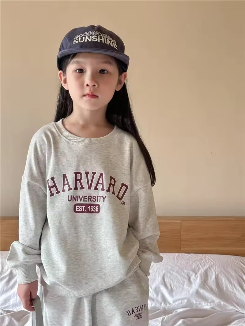 HARVARDセットアップ