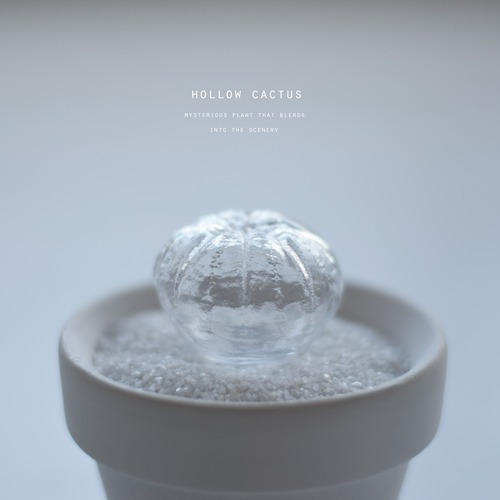 hollow cactus　オベサ