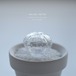 hollow cactus　オベサ