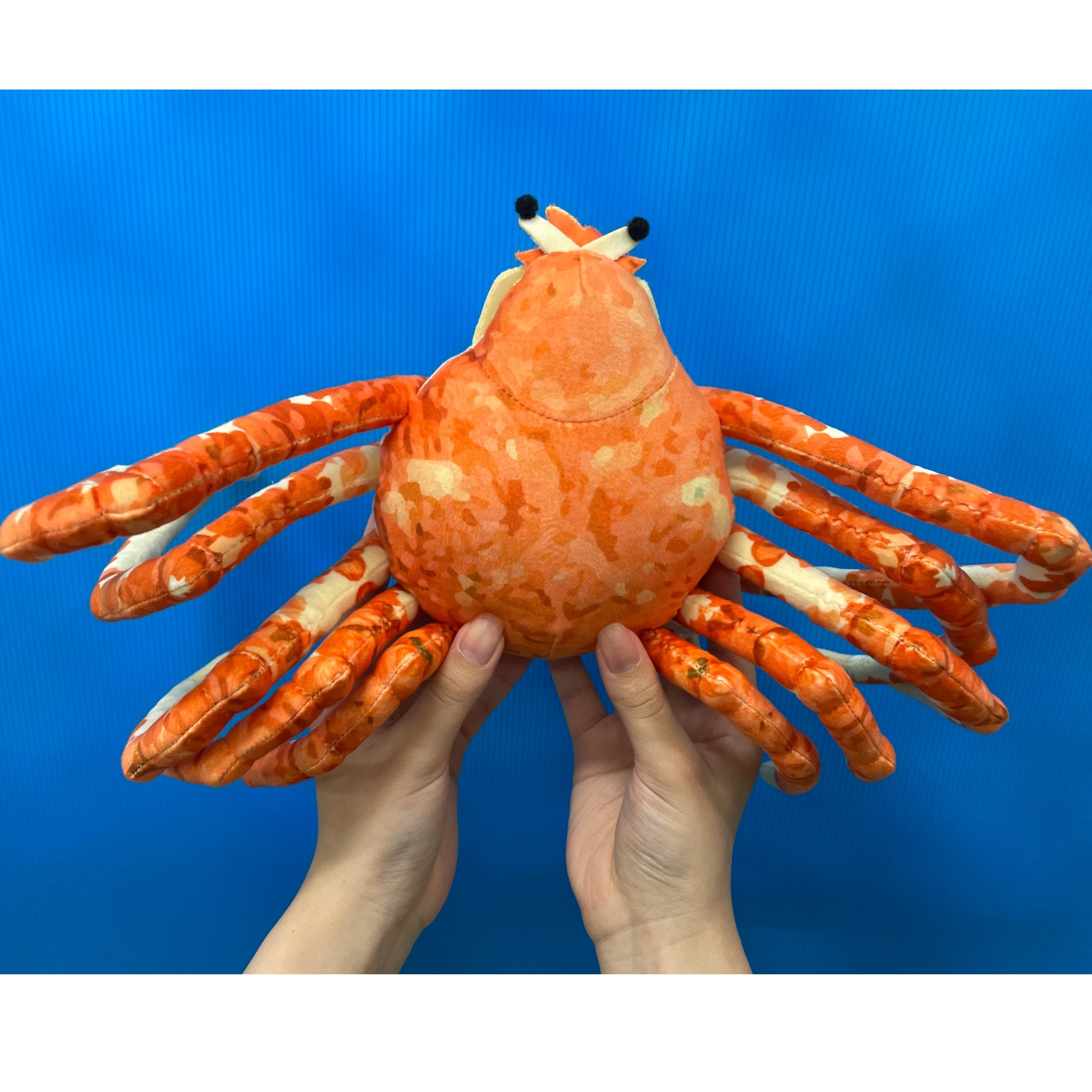 タカアシガニ ぬいぐるみ | 幼魚屋オンラインショップ