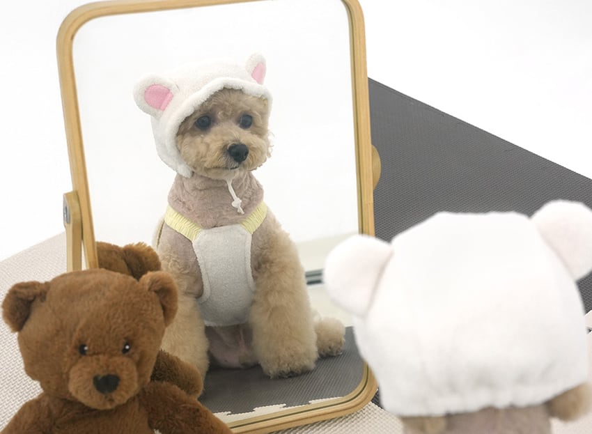 sleepy bear all in one set S ~ XL 2color / 犬服 秋冬 新作 もこもこ フリース オールインワン 帽子 セット 可愛い 犬の服 暖かい ドッグウェア ペット ワンコ服 小型犬 中型犬 猫 ロンパース tsu44