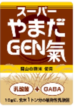 スーパーやまだＧＥＮ氣　玄米　500ｇ