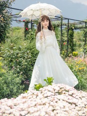 【0188】Lace High Neck Princess Long Sleeve Dress