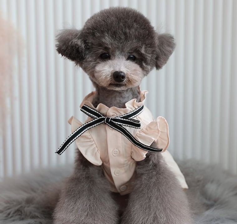 tint frill blouses / 犬服 ドッグウェア 犬の服 シャツ ワンちゃん ペット洋服 無地 犬 小型犬 中型犬 フリル ブラウス 綿 シンプル ベージュ 夏 袖なし 涼しい top125
