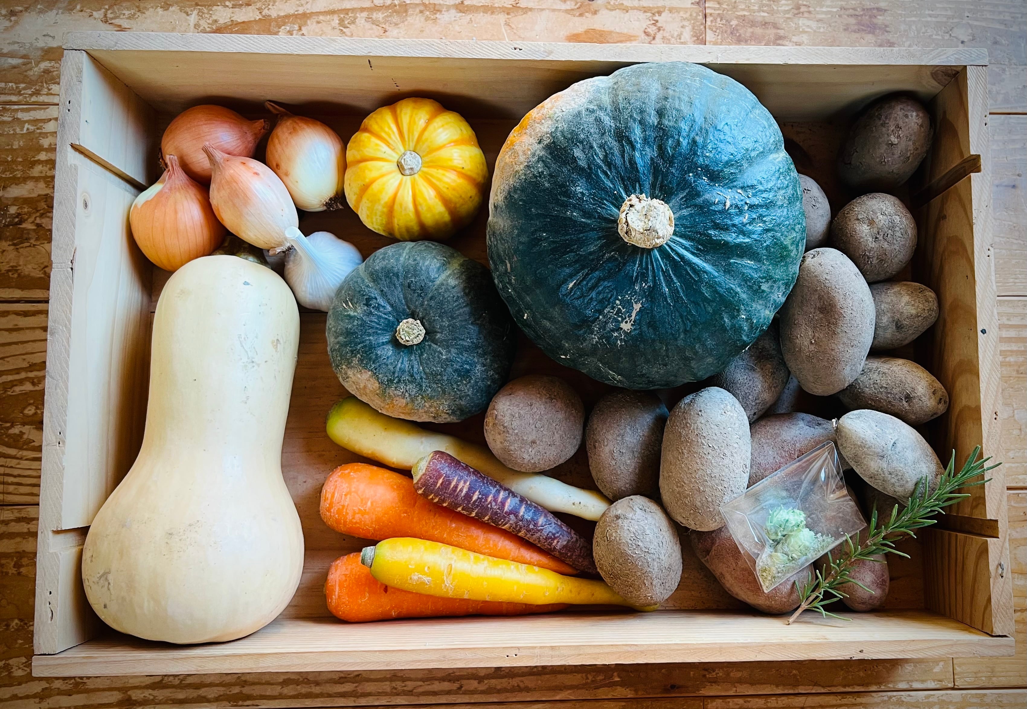 2025 冬の料理を楽しむオーガニックの野菜セット 大