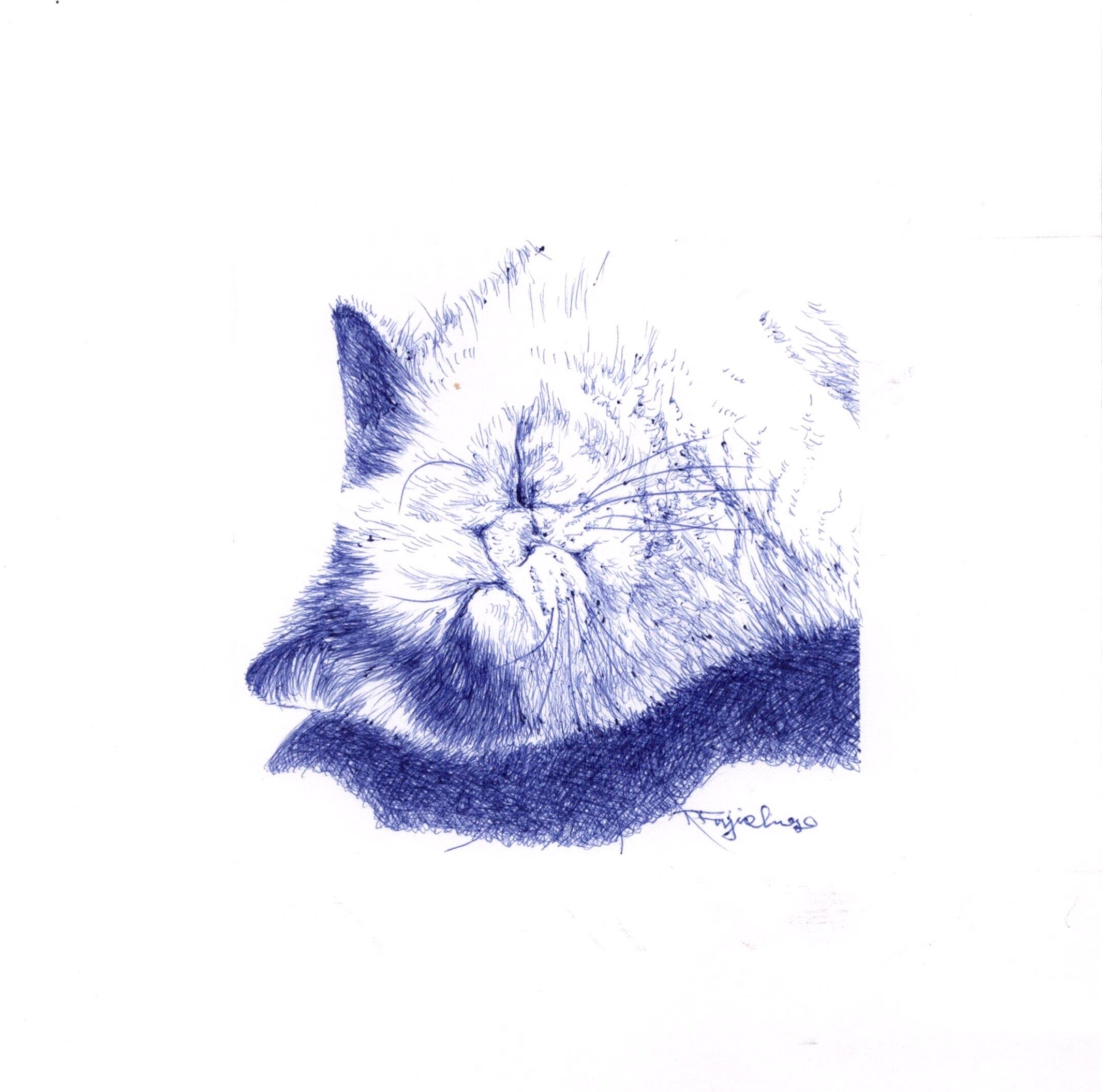 猫と蝶と青。　ペン画　手書き 猫のボールペン画 No.19 | 猫絵画家 藤重日生