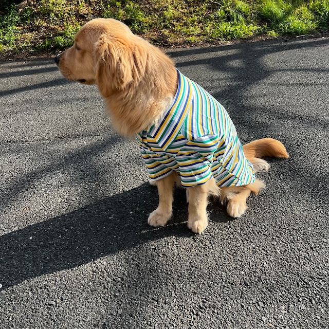 犬 服 可愛い ポロシャツ 大型犬