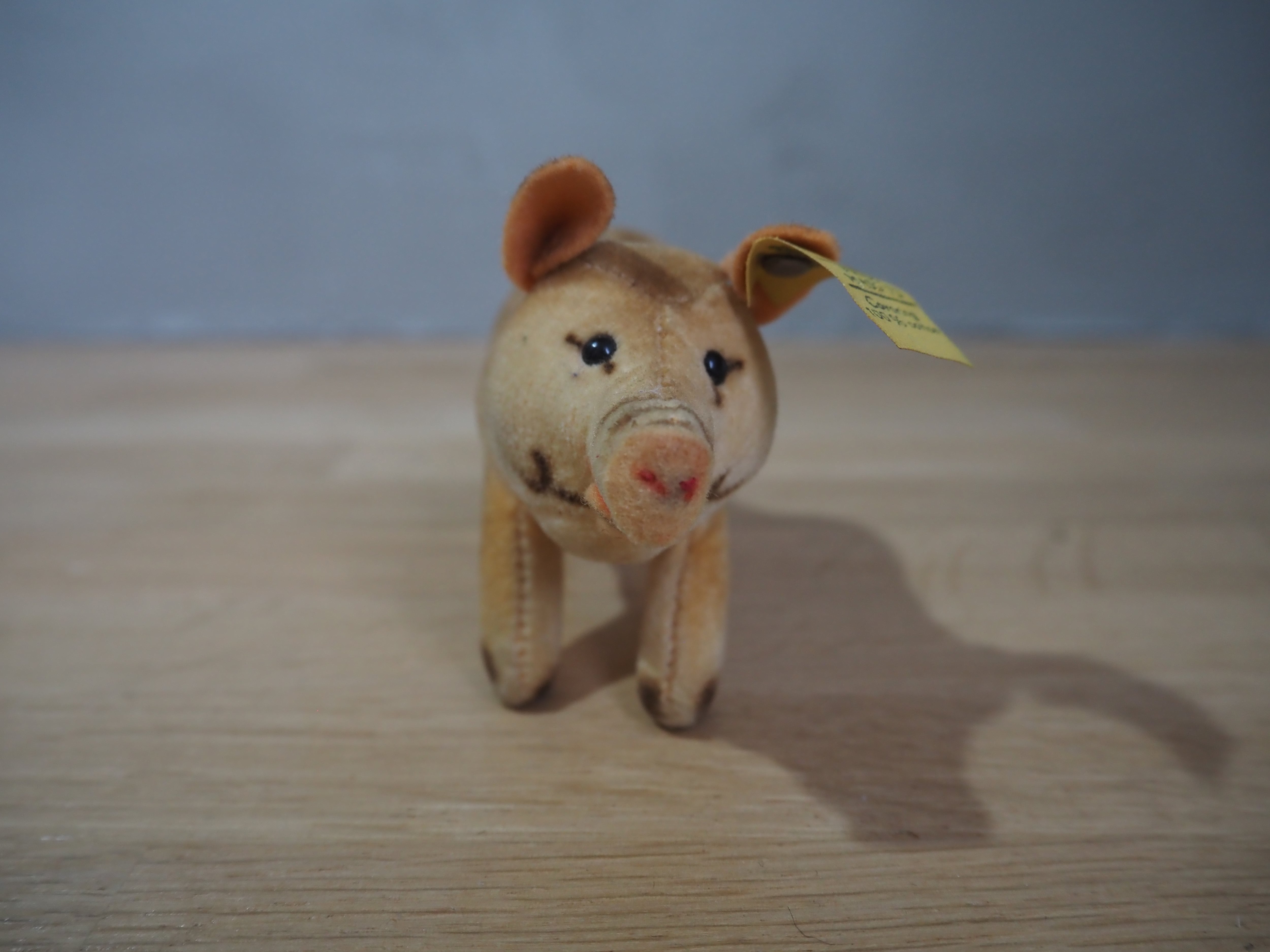 オールド シュタイフ ウリ坊 Steiff Young Wild Boar | ヒガシマチ