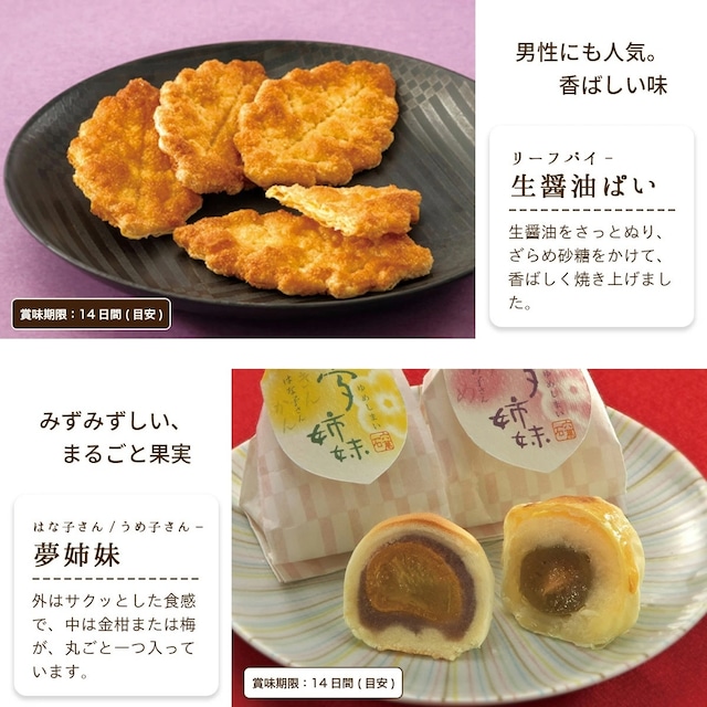 春の和菓子詰め合わせ「瑞祥」#春限定#お祝い#お供え#ギフト#和菓子#お取り寄せ#土産#プレゼント#進物