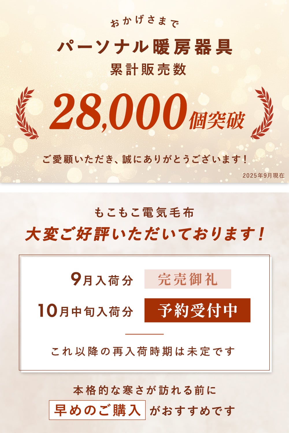 Rocotto もこもこ電気毛布 シングル 140×200cm | MRG JAPAN Direct