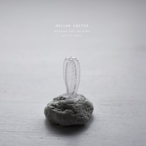 hollow cactus ペルヴィアナス