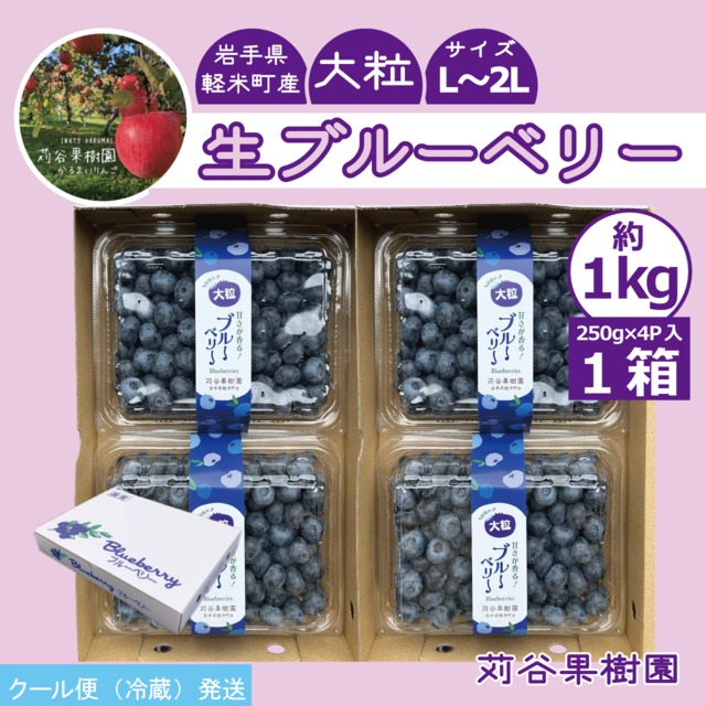【2026.7.1以降順次発送】【L～2L】大粒ブルーベリー約１kg《250g×4パック入》