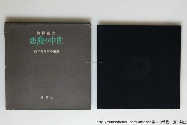 悪魔の中世 西洋美術史の暗黒 / 澁澤龍彦 [39812][並下] | 書肆田高
