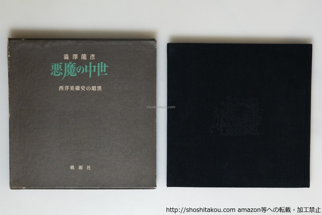 悪魔の中世　西洋美術史の暗黒　/　澁澤龍彦　　[39812][並下]