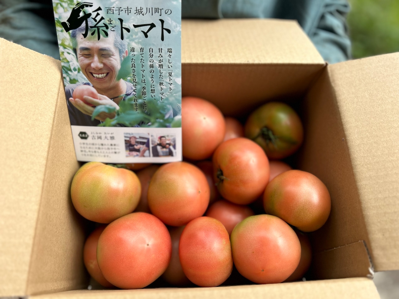 孫トマト 4キロ