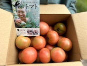 孫トマト 4キロ