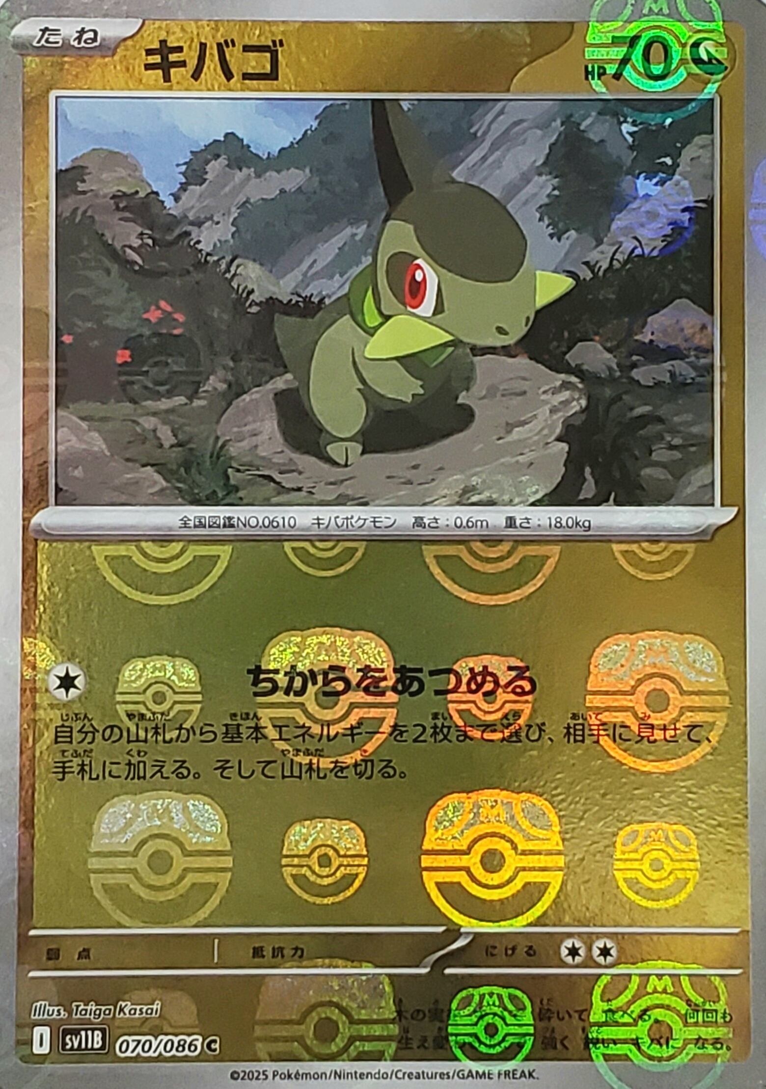 ポケモンカード 【ステラミラクル】 BOX シュリンク付き 送料無料 | PAY ID