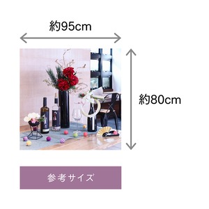 ショシュンコーディネートセットＬ