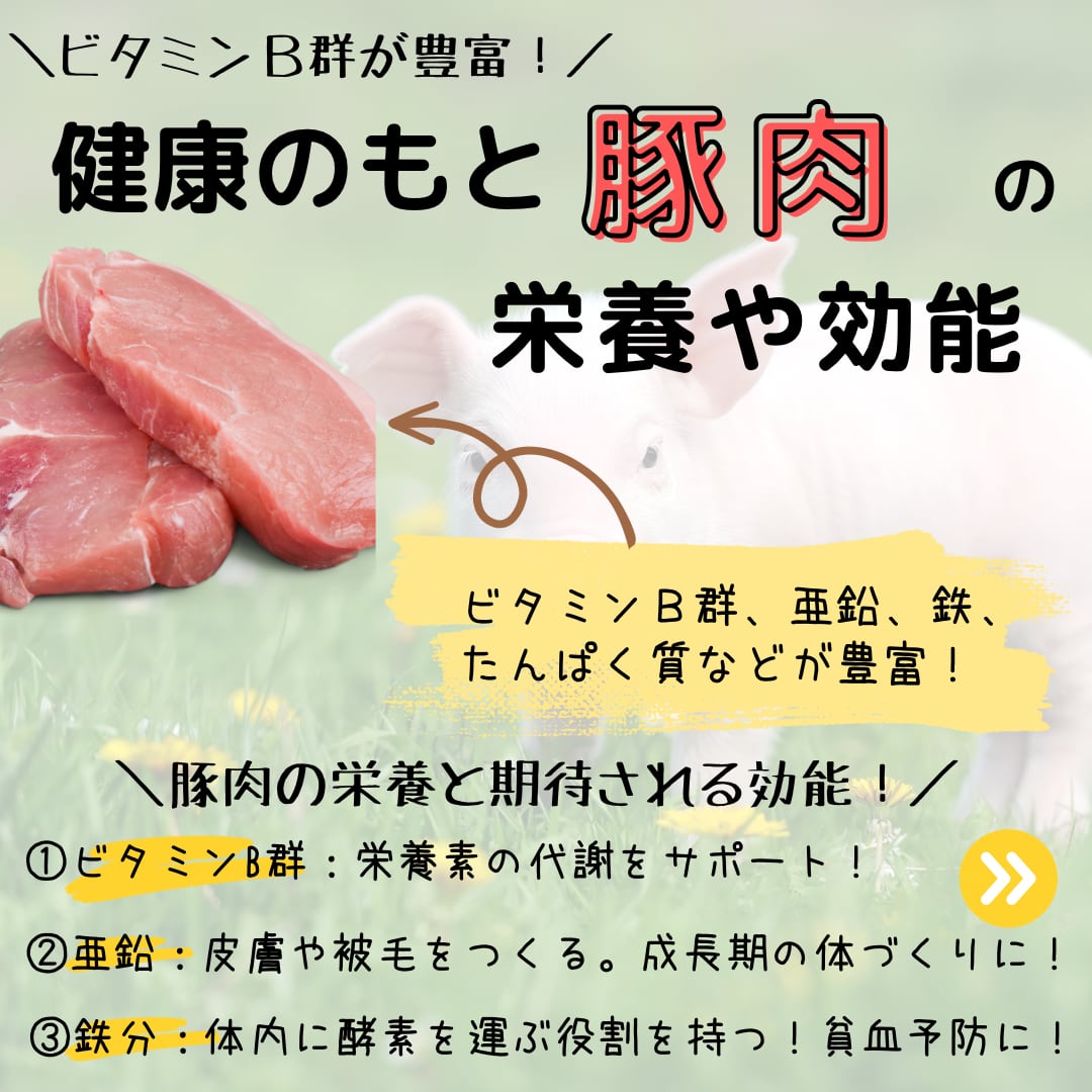 やぎミルク入りおからバーグ 各種お得セット