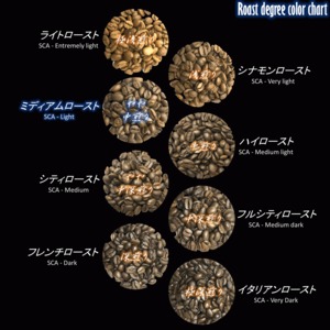 メキシコ チアパス フィンカ ドンラファ デリシャス農園 ナチュラル【ポスト便】