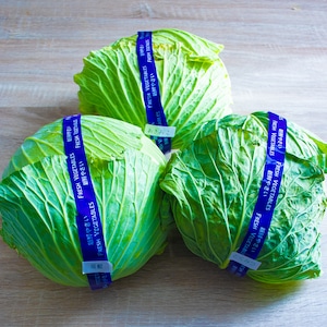 ブランドキャベツ8玉セット【さかのした農園さん直送】