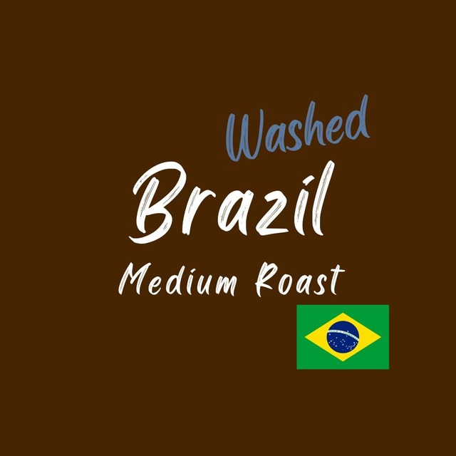 ブラジル／中煎り【バヒア ウォッシュド】100g