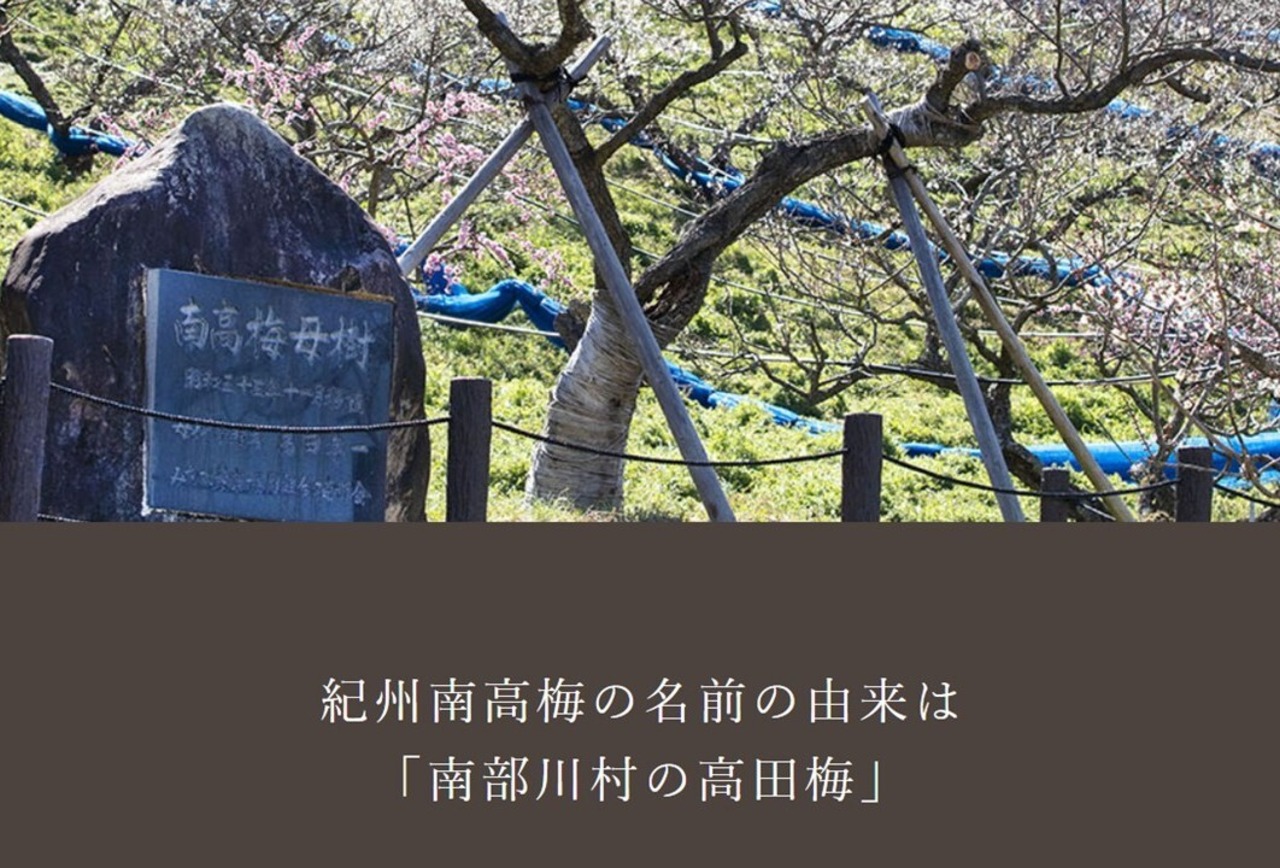 南高梅の会 有機JAS認証おすすめ4種詰合せ・画像3