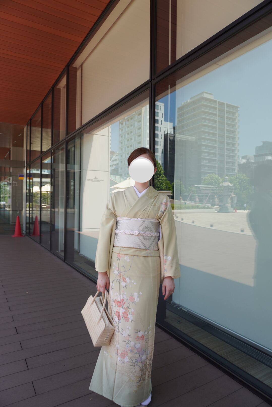 訪問着　フルセット　単衣