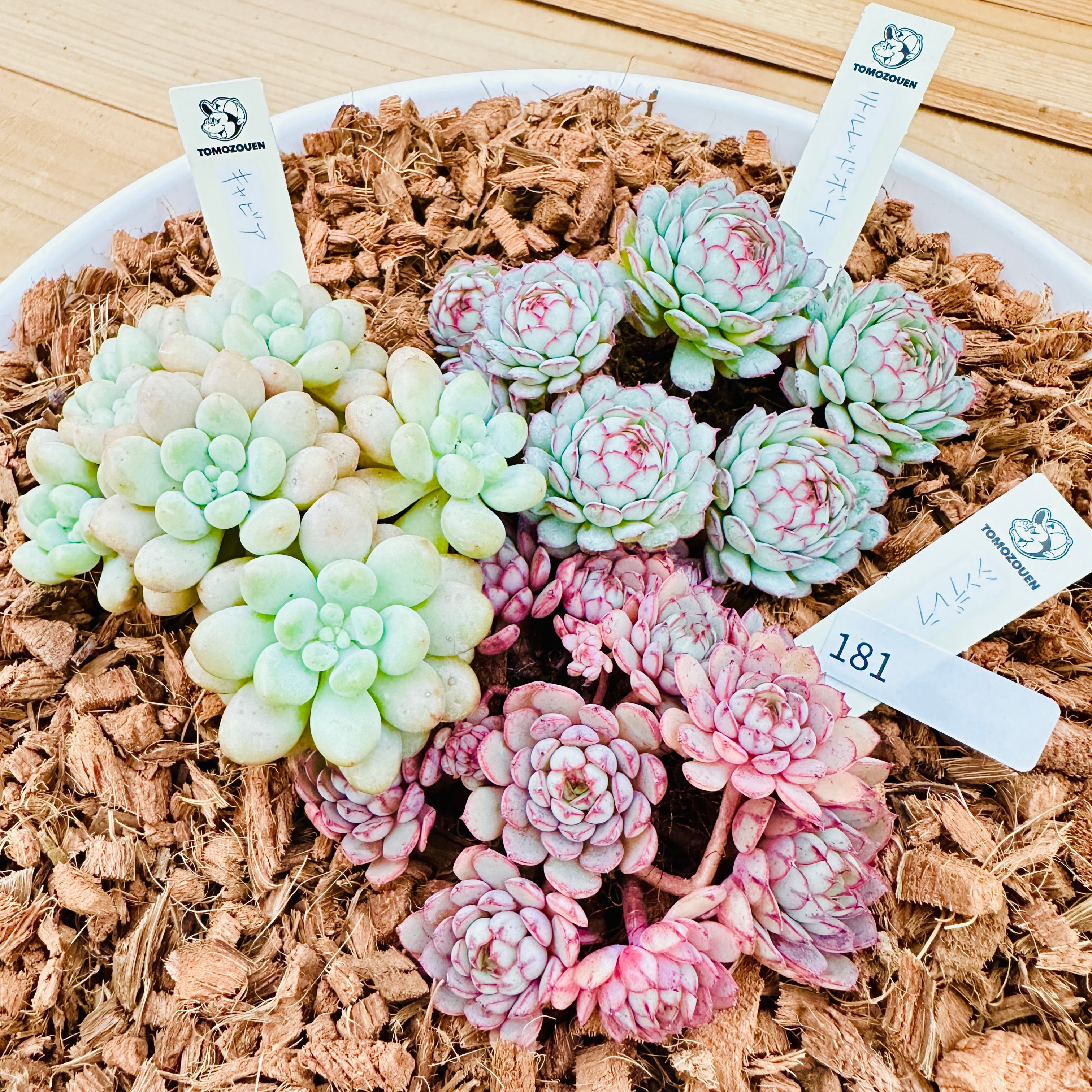 1cab3b1a057fea58b654c8c25dde3c