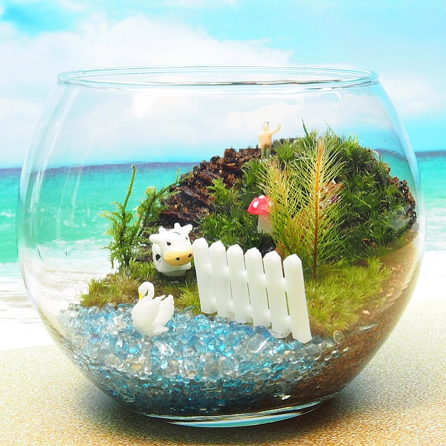 苔テラリウム・手作りキット一式】牛と白鳥の湖 | 工房・津軽moss