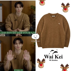 ★THE BOYZ ジュヨン 着用!!【WAIKEI】Dolphin Hairy V Neck Knit