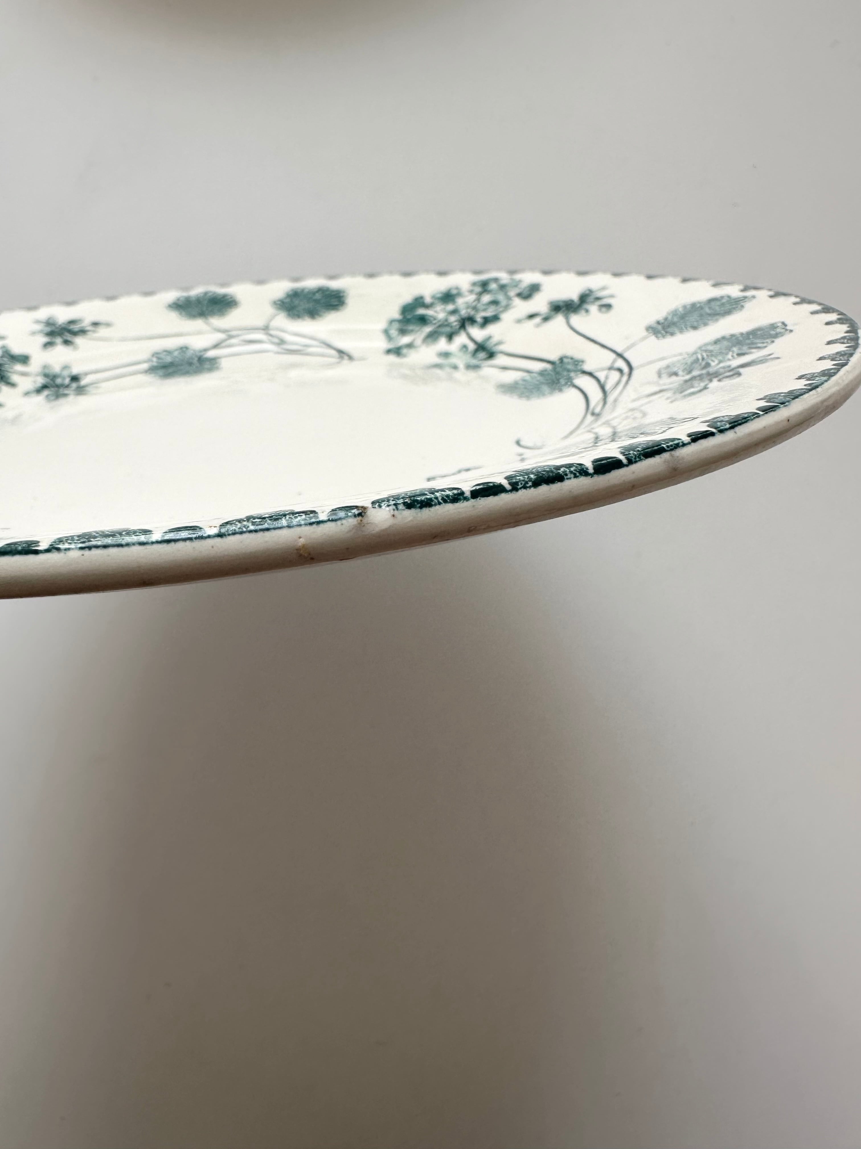 Sarregueminesサルグミンヌ　ゼラニウム　平皿フランス　2枚セット Sarregueminesサルグミンヌ ゼラニウム 平皿フランス 2枚セット