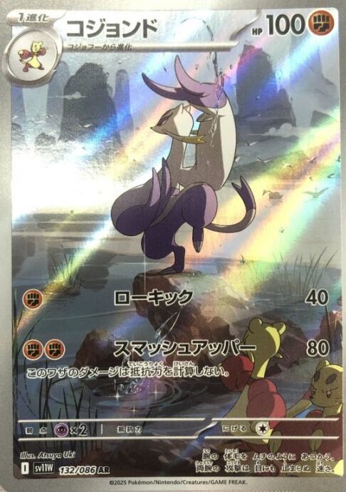 【美品】コジョンド(AR)