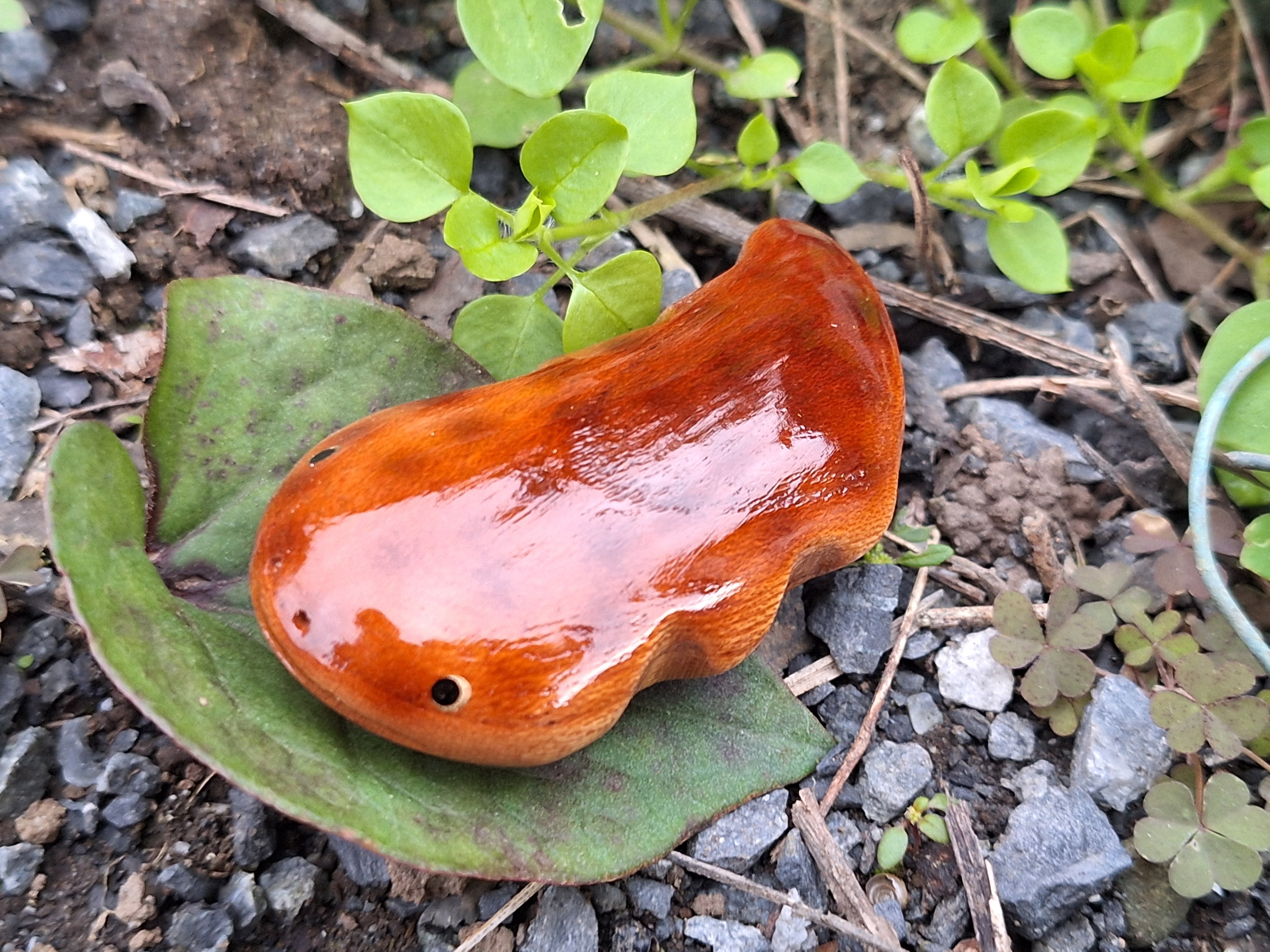 1cb40185d265e9b0e1438c88dcbdff