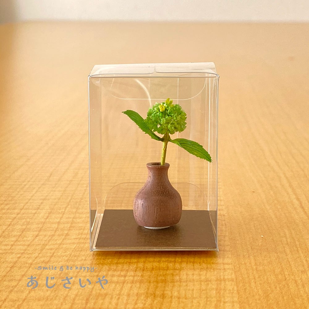 ミニチュア紫陽花 マジカルレボリューション（西洋紫陽花） 1輪挿し 木
