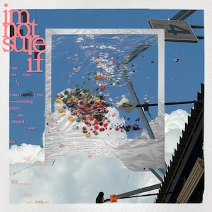 【8/19発売】pudelhunds / imnotsureif