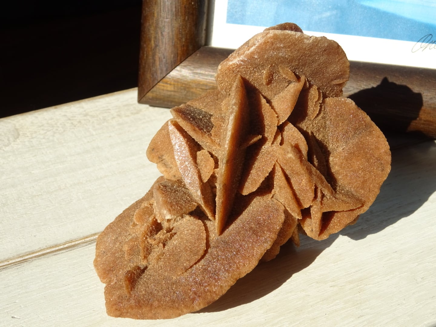 サハラ砂漠の薔薇　デザートローズ　極希少・レア 砂漠の薔薇（デザートローズ） モロッコ・サハラ砂漠 産 ｜石の