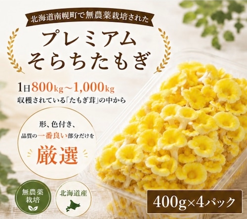 （400g×4パック）プレミアムそらちたもぎ