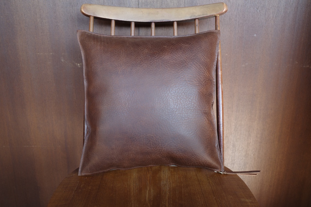 Leather Cushion