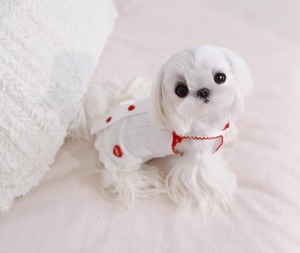 ホワイトトップス❤︎XXS〜XL（送料180円）